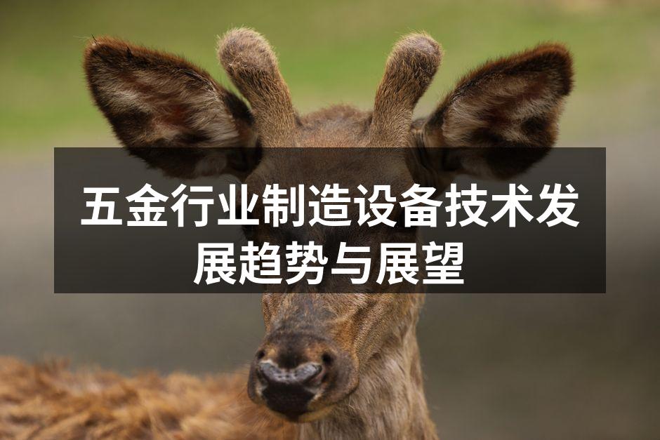 现代化五金制造设备展示